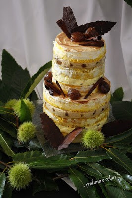 naked cake trentina