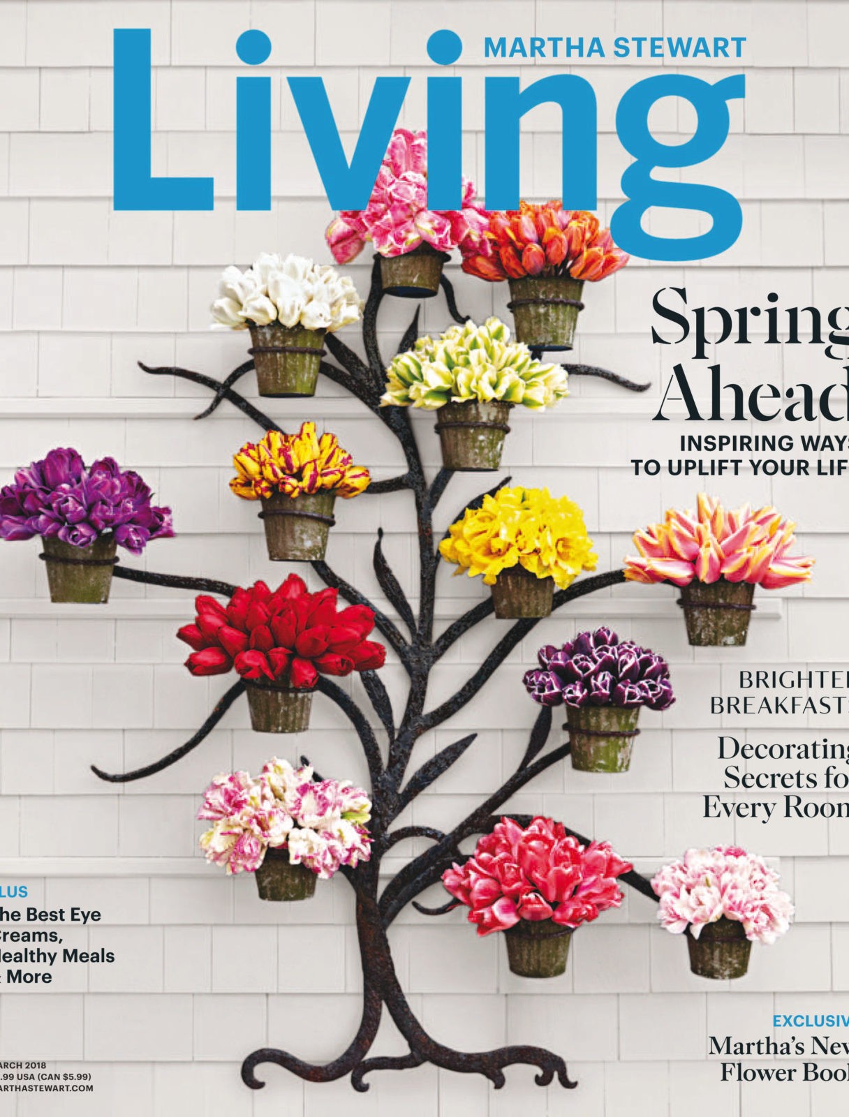 2018-03-01 Martha Stewart Living_downmagaz.com.pdf